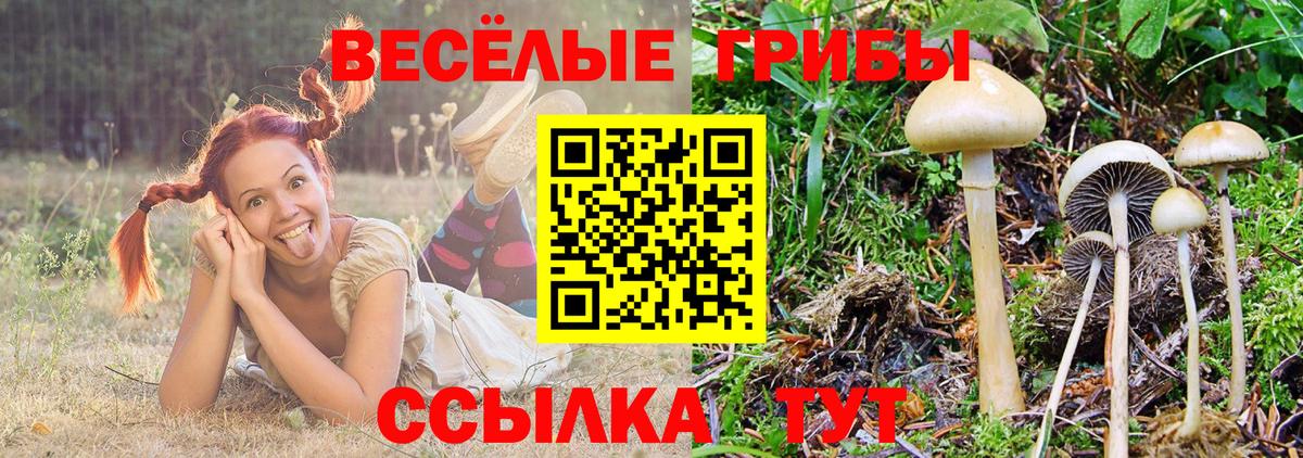 Галлюциногенные грибы мицелий  Вход с VPN  Дубна 