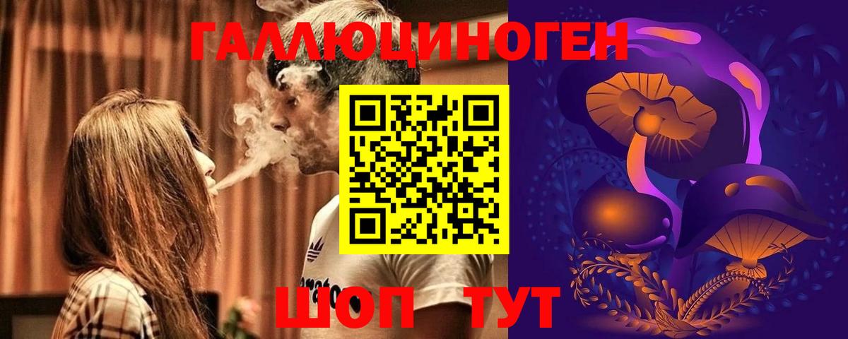 Галлюциногенные грибы Psilocybe Дубна